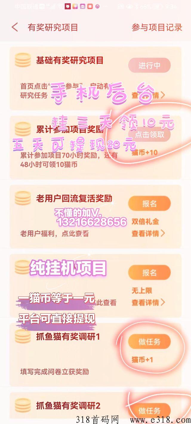抓鱼猫，手机后台赚米项目