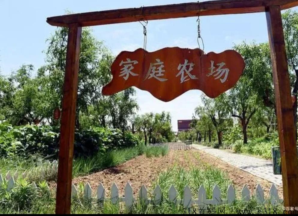 家庭农场，无需看广告