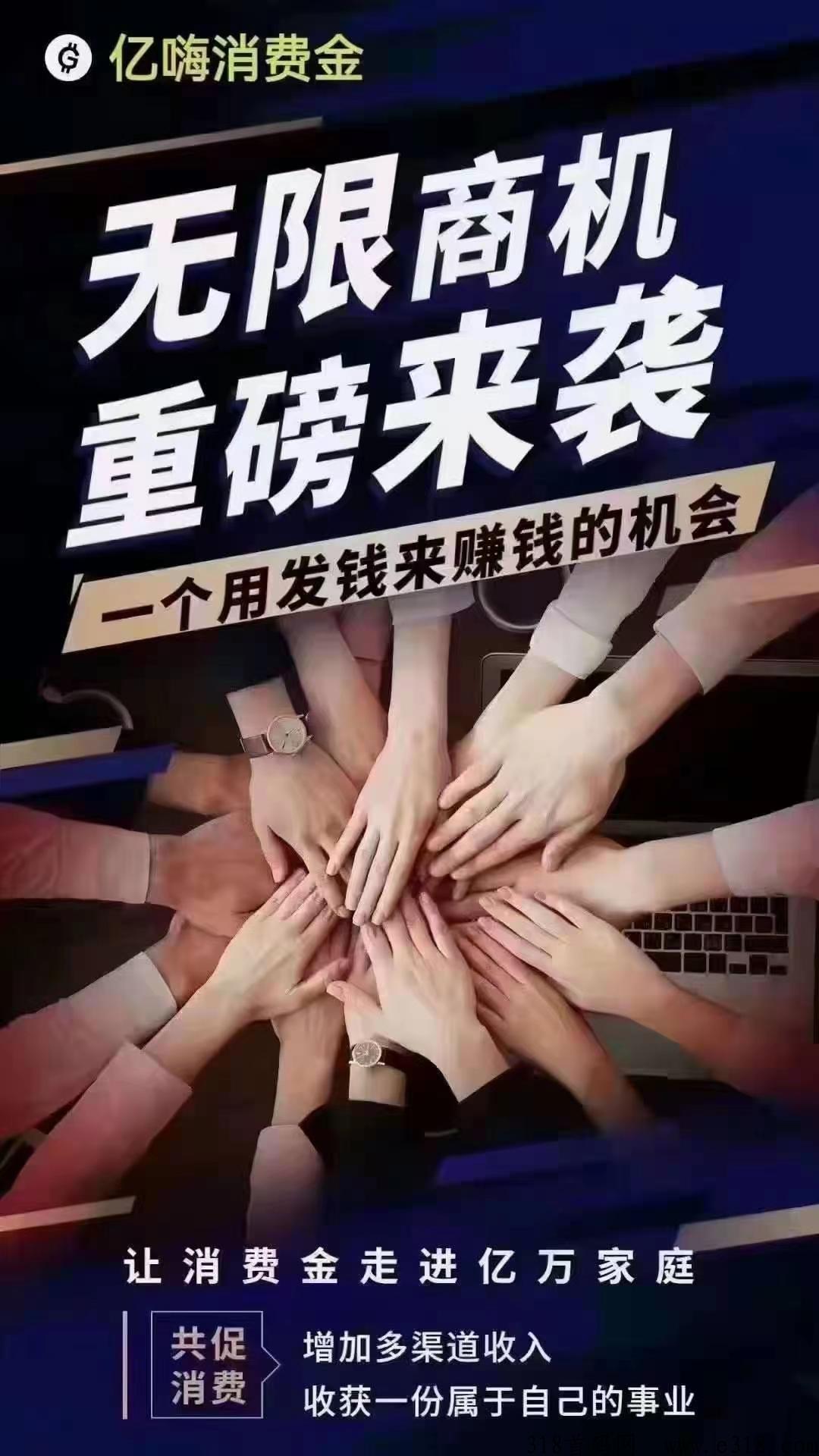 中嗨控股亿嗨消，新首码项目