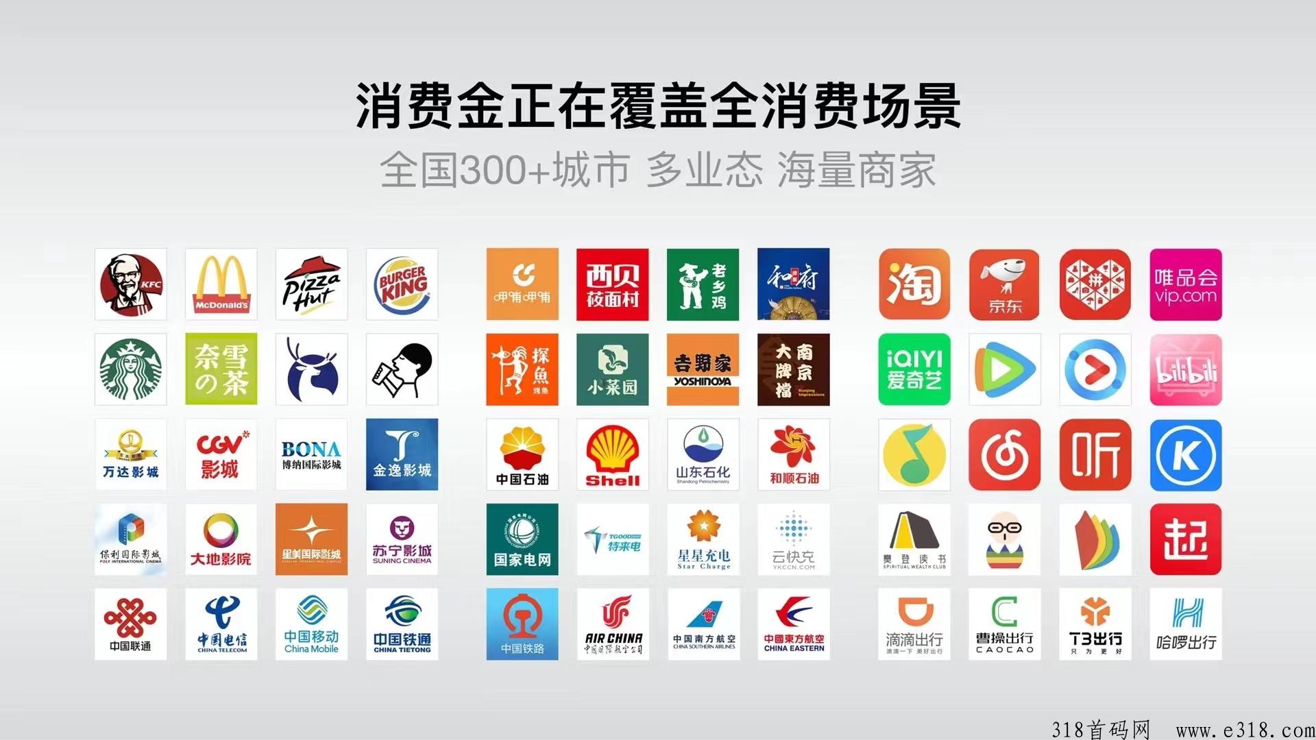 中嗨控股亿嗨消，新首码项目