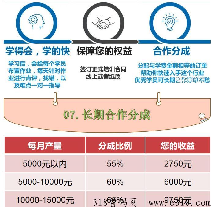 宠物羊毛毡：蓝海行业，手工技能，轻松月入过万，自由的高收入