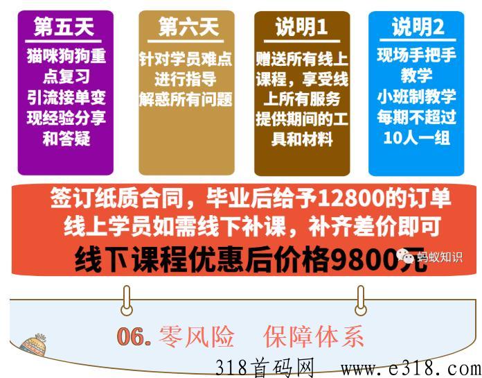 宠物羊毛毡：蓝海行业，手工技能，轻松月入过万，自由的高收入