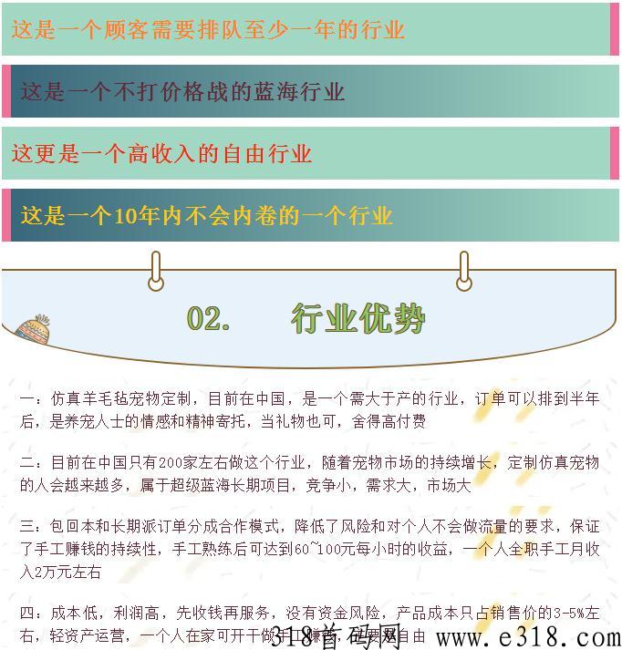 宠物羊毛毡：蓝海行业，手工技能，轻松月入过万，自由的高收入