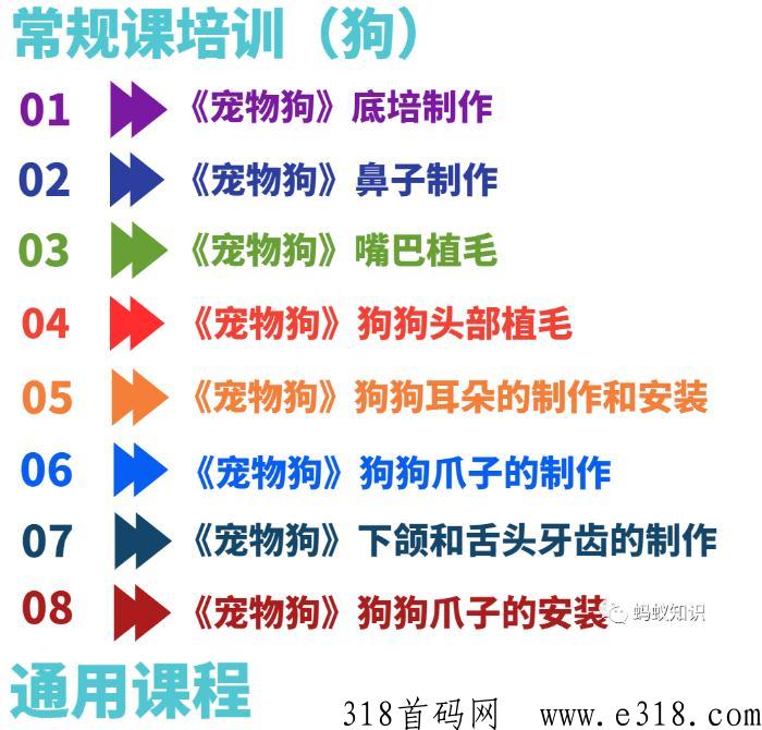 宠物羊毛毡：蓝海行业，手工技能，轻松月入过万，自由的高收入