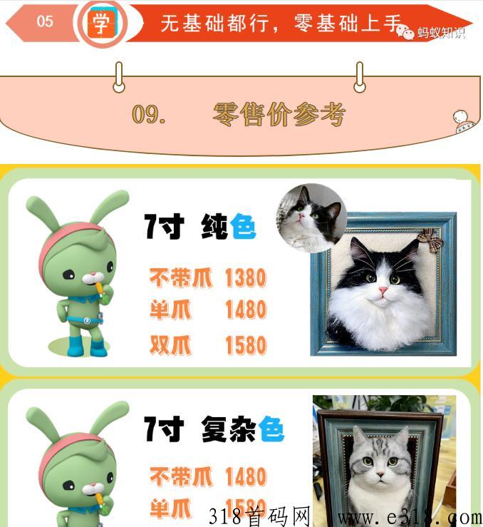 宠物羊毛毡：蓝海行业，手工技能，轻松月入过万，自由的高收入