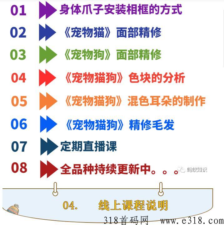 宠物羊毛毡：蓝海行业，手工技能，轻松月入过万，自由的高收入