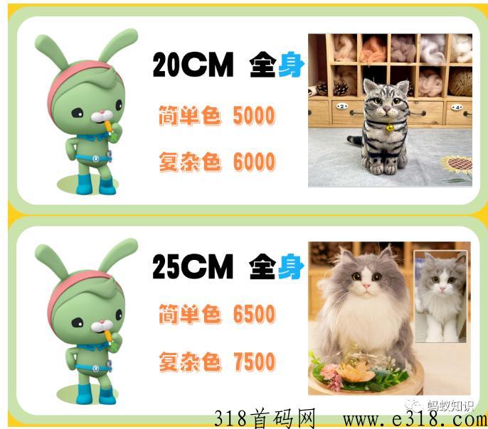 宠物羊毛毡：蓝海行业，手工技能，轻松月入过万，自由的高收入