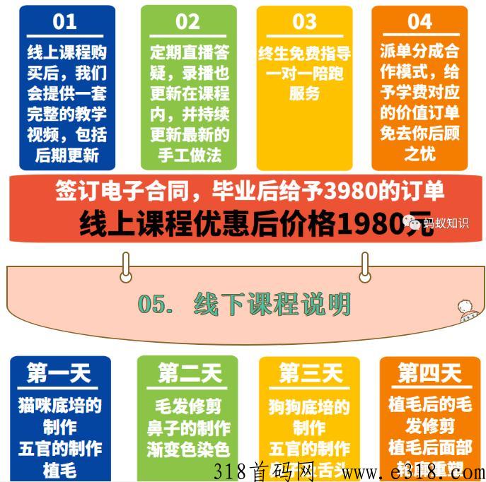 宠物羊毛毡：蓝海行业，手工技能，轻松月入过万，自由的高收入
