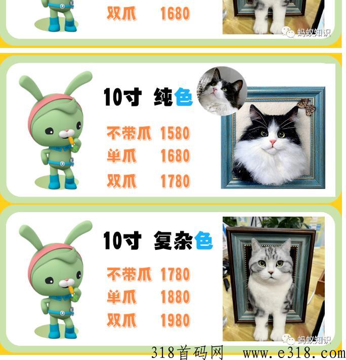 宠物羊毛毡：蓝海行业，手工技能，轻松月入过万，自由的高收入