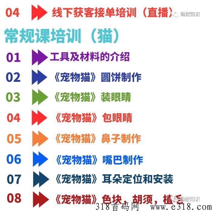 宠物羊毛毡：蓝海行业，手工技能，轻松月入过万，自由的高收入