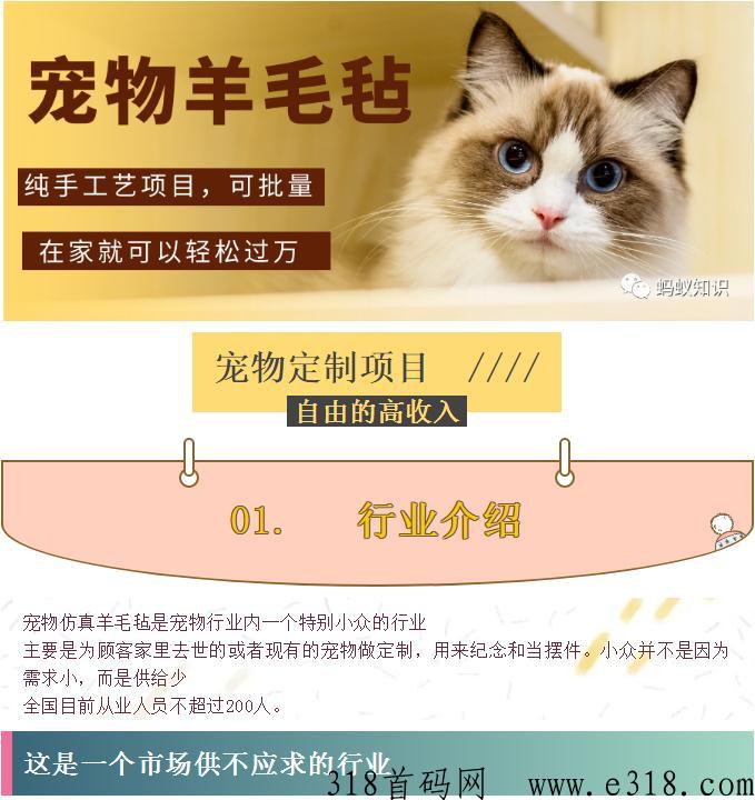 宠物羊毛毡：蓝海行业，手工技能，轻松月入过万，自由的高收入