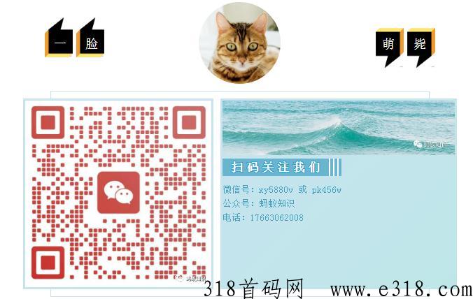 宠物羊毛毡：蓝海行业，手工技能，轻松月入过万，自由的高收入