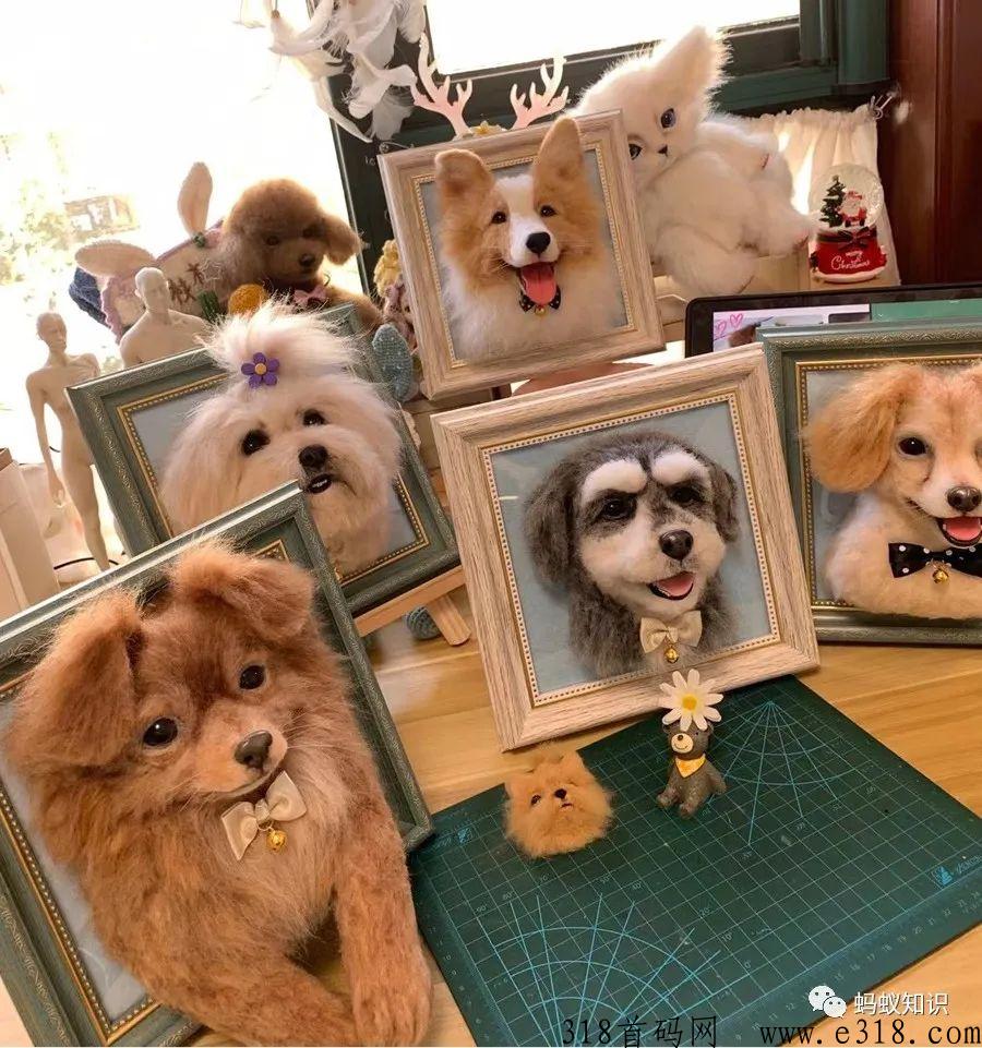 宠物羊毛毡：蓝海行业，手工技能，轻松月入过万，自由的高收入