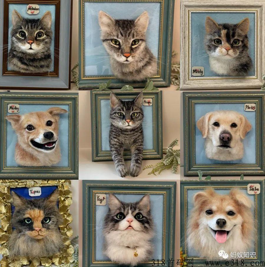 宠物羊毛毡：蓝海行业，手工技能，轻松月入过万，自由的高收入