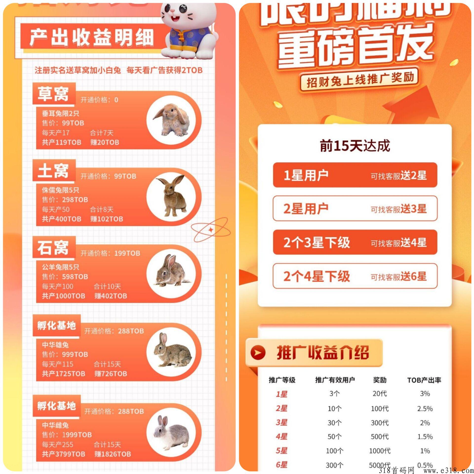 招财兔最新项目，首码刚出