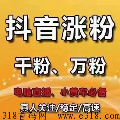 d音黑科技兵马俑，互联网创业首选项目