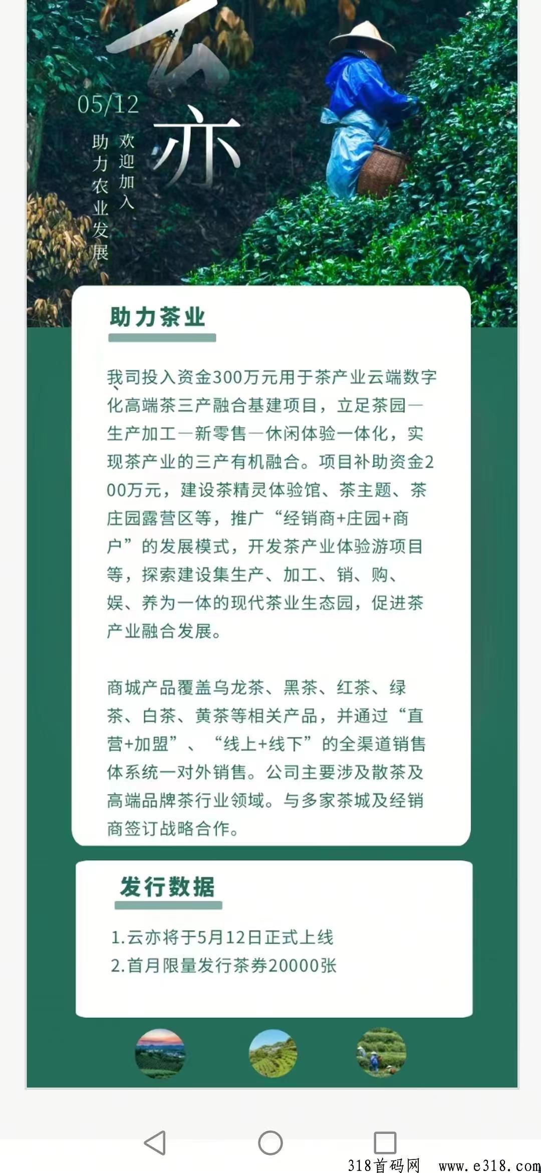刚出云亦茶界首码，可转赠、提现、兑换话费，可转赠可提现