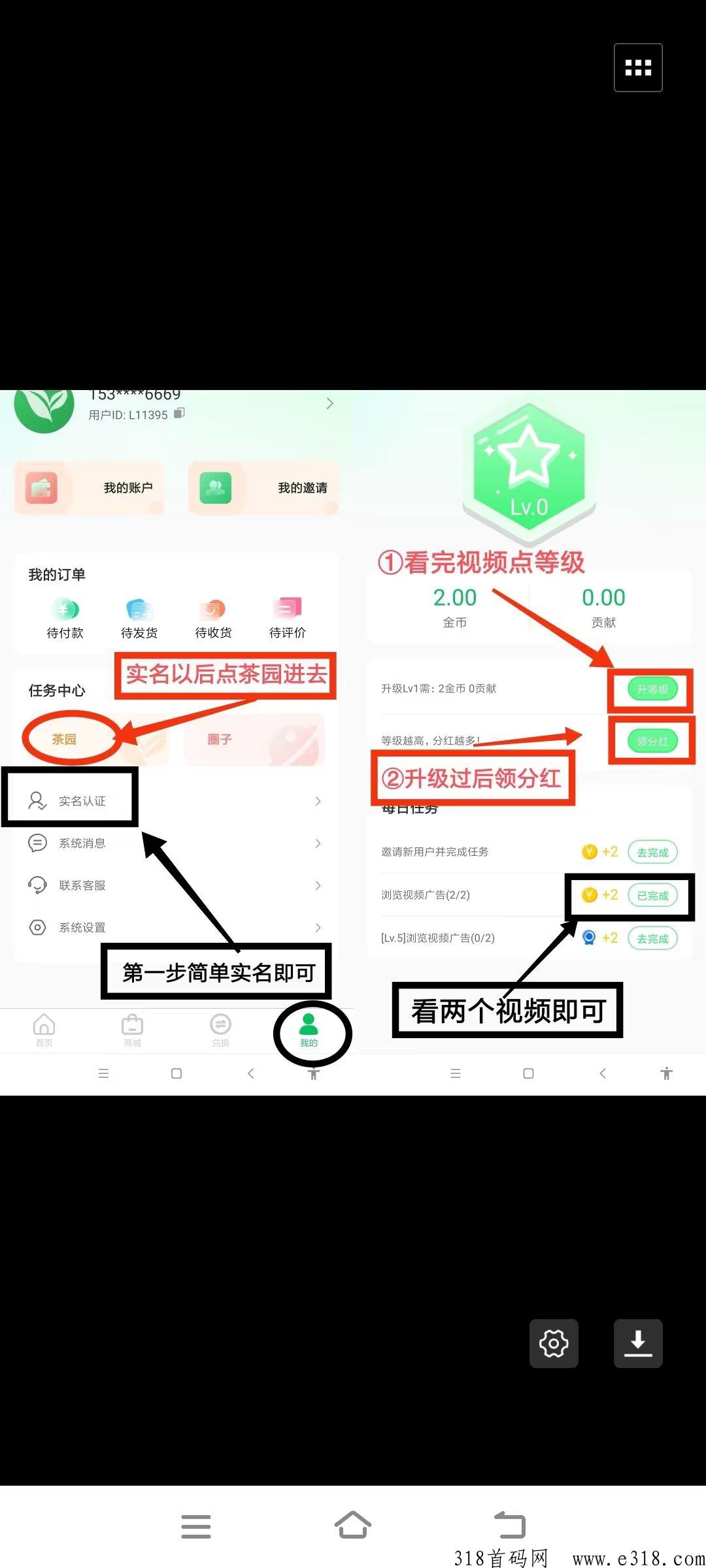 云亦茶界首码，实体大盘