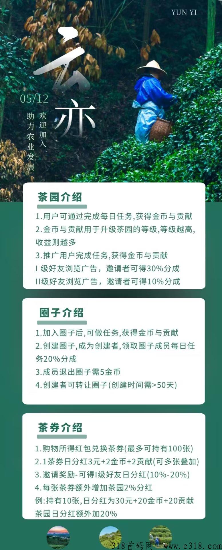 云亦茶界首码，实体大盘