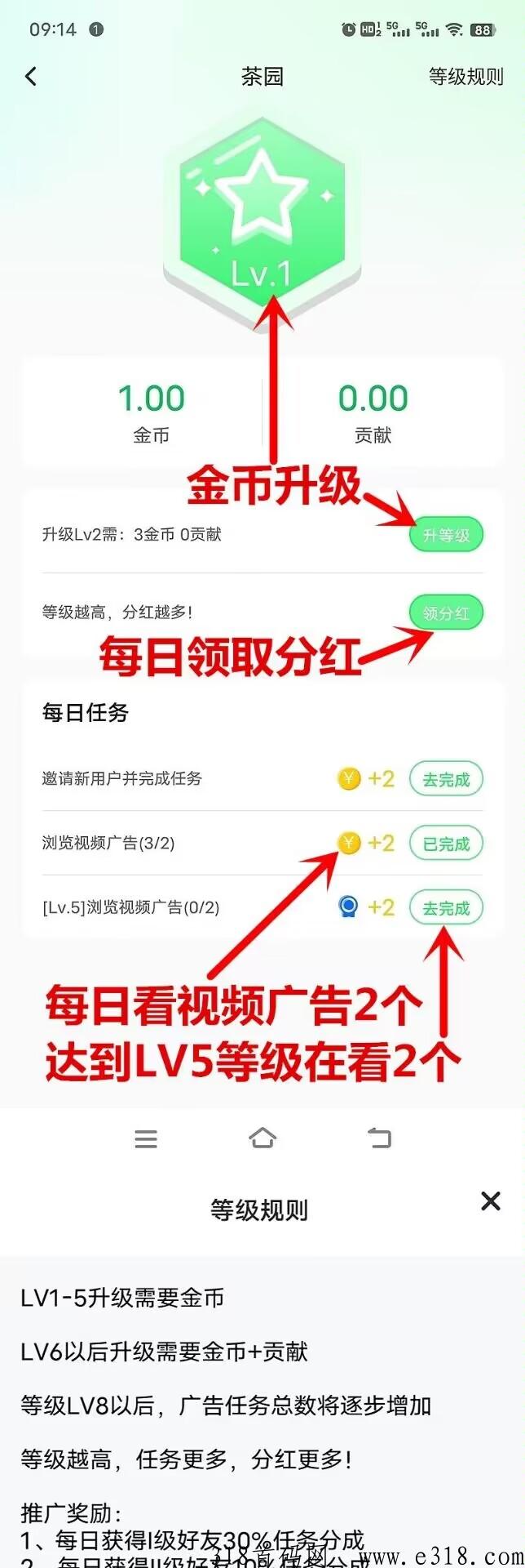 云亦茶界首码 云亦茶界首码