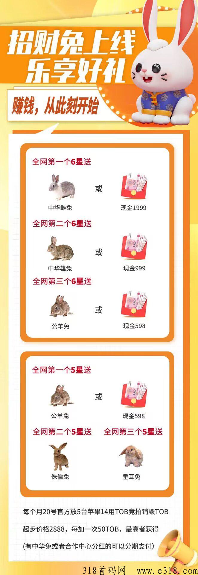 招财兔，每天可撸，已稳定上涨上线，全网自动滑落