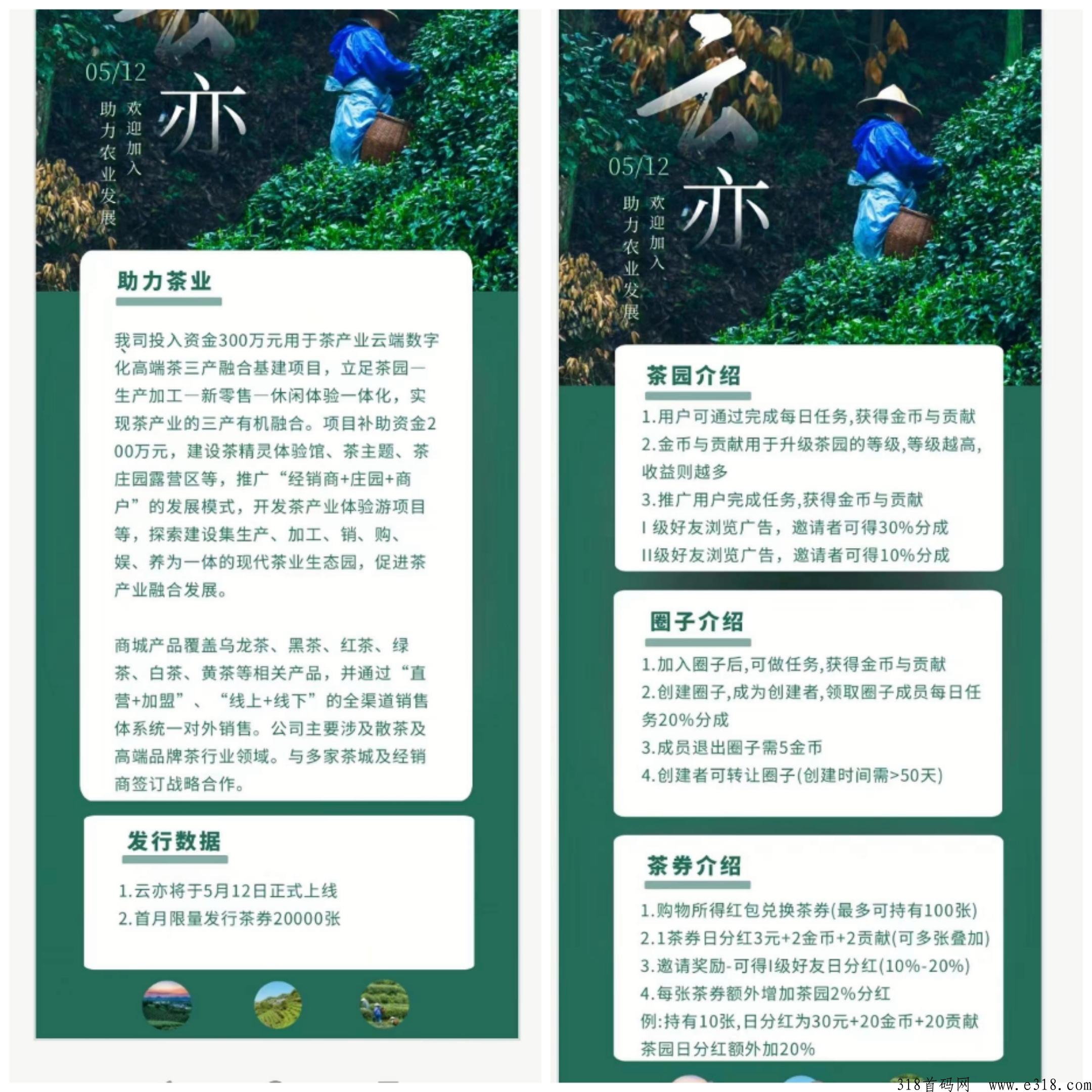 首码云亦茶界！可转赠可提！贡献值兑换话费！也可以转赠