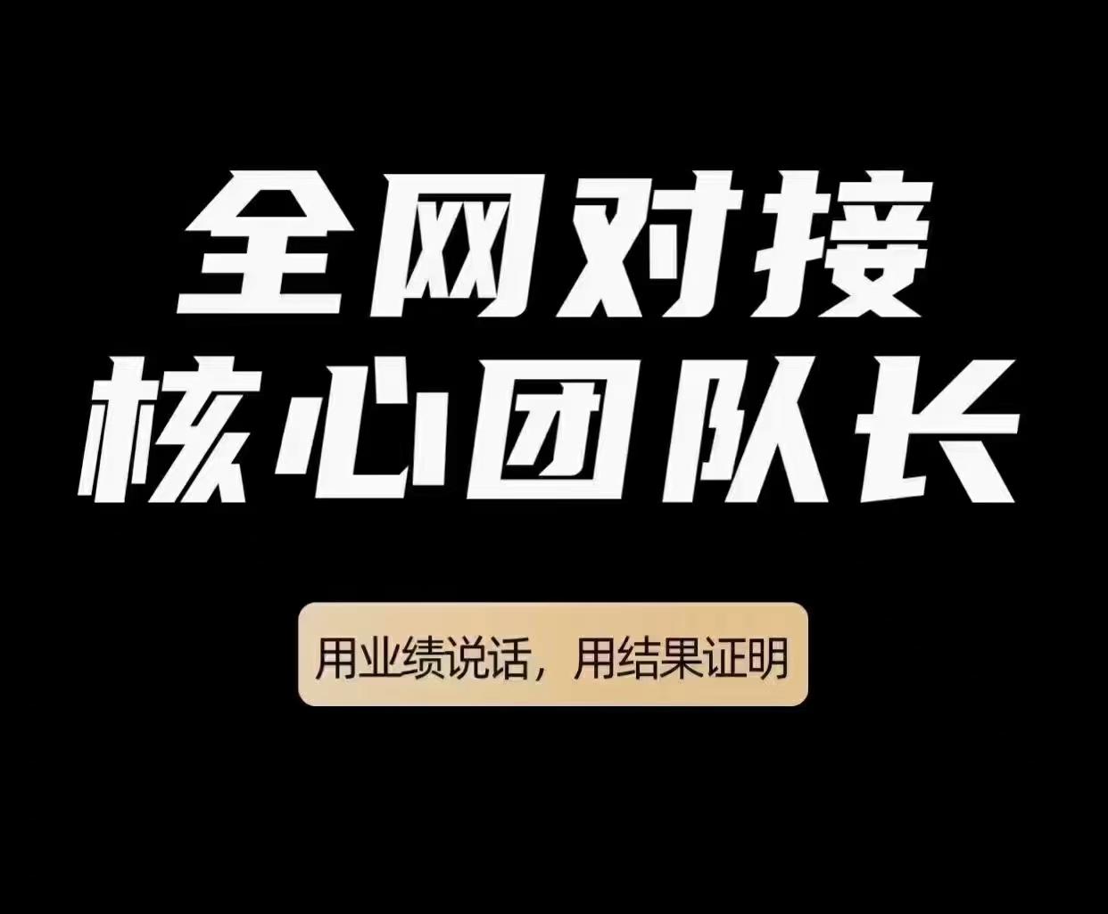 金铉商城，娱乐电商是趋势中的新星，市场空白，容易推广，即做即得