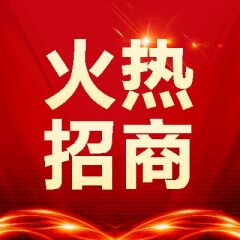 数字码头是什么，一篇文章带你全了解