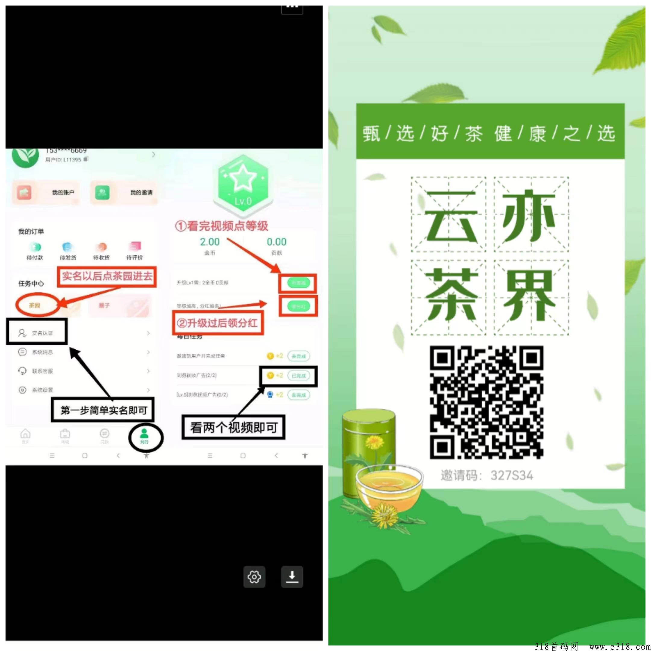 云亦茶界首码！可转赠可提！金b或者贡献值都可以转赠！兑换话费