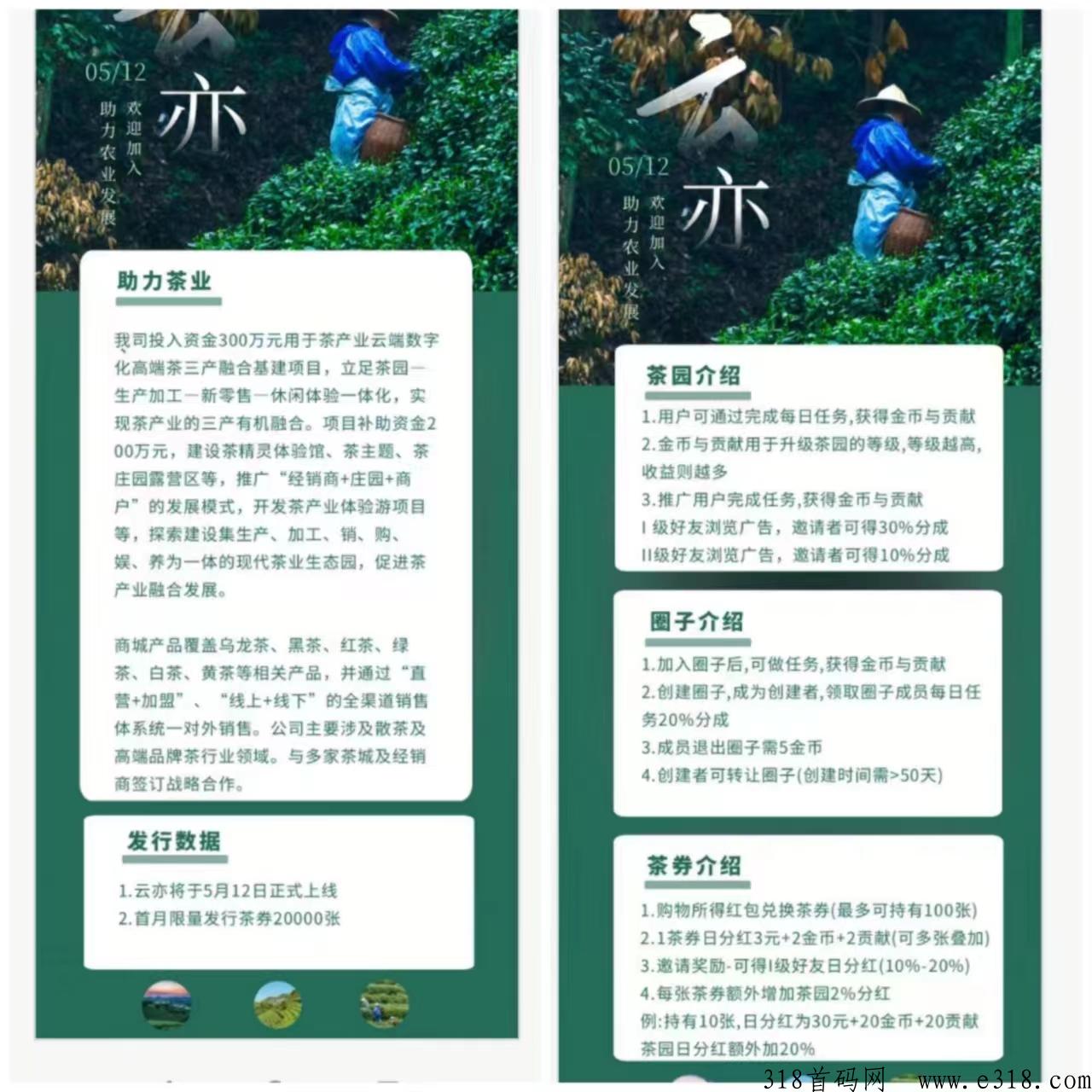 云亦茶界首码！可转赠可提！金b或者贡献值都可以转赠！兑换话费