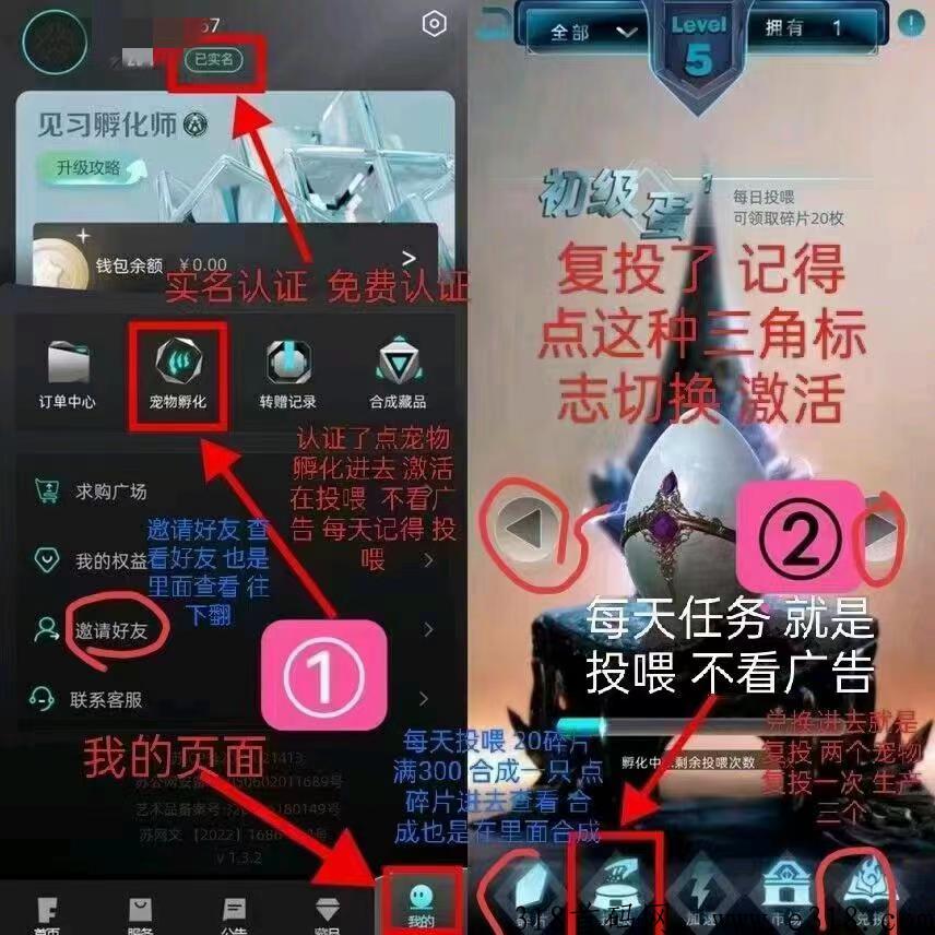 非梵艺术，2023最强项目