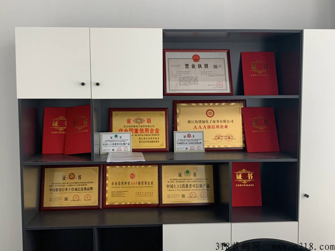 淘货铺，无货源网店