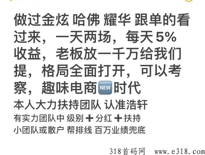 新启娱乐电商招募团队，对标金炫，耀华