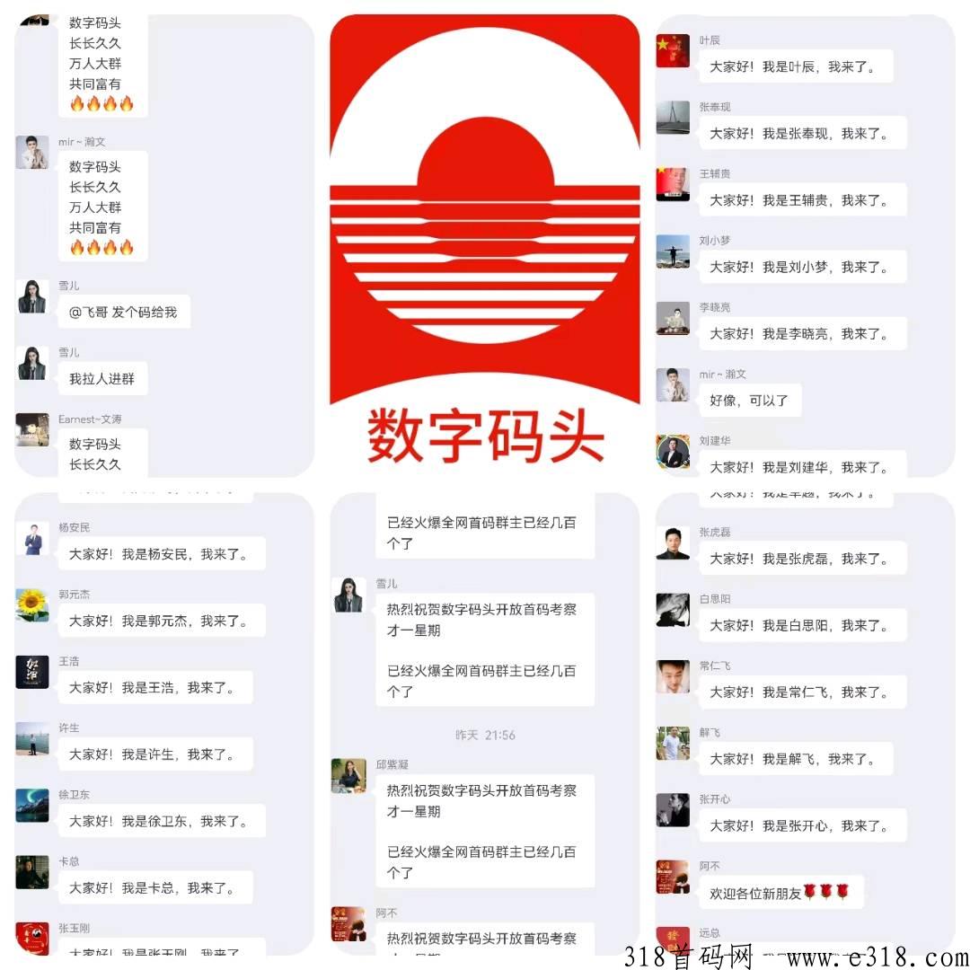 【数字码头】王炸项目，嗖嗖团队力作，先落地后上线