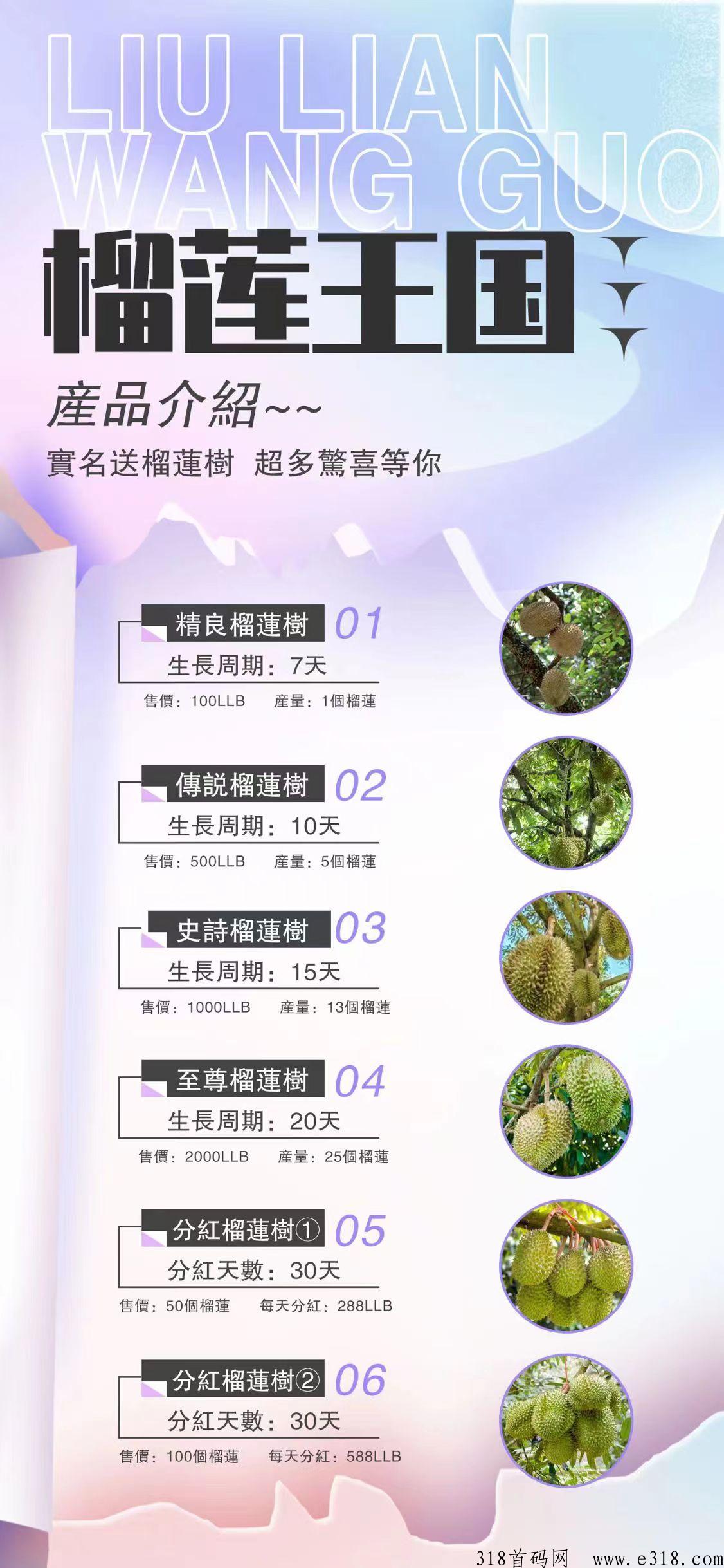 榴莲王国，首码火热上线