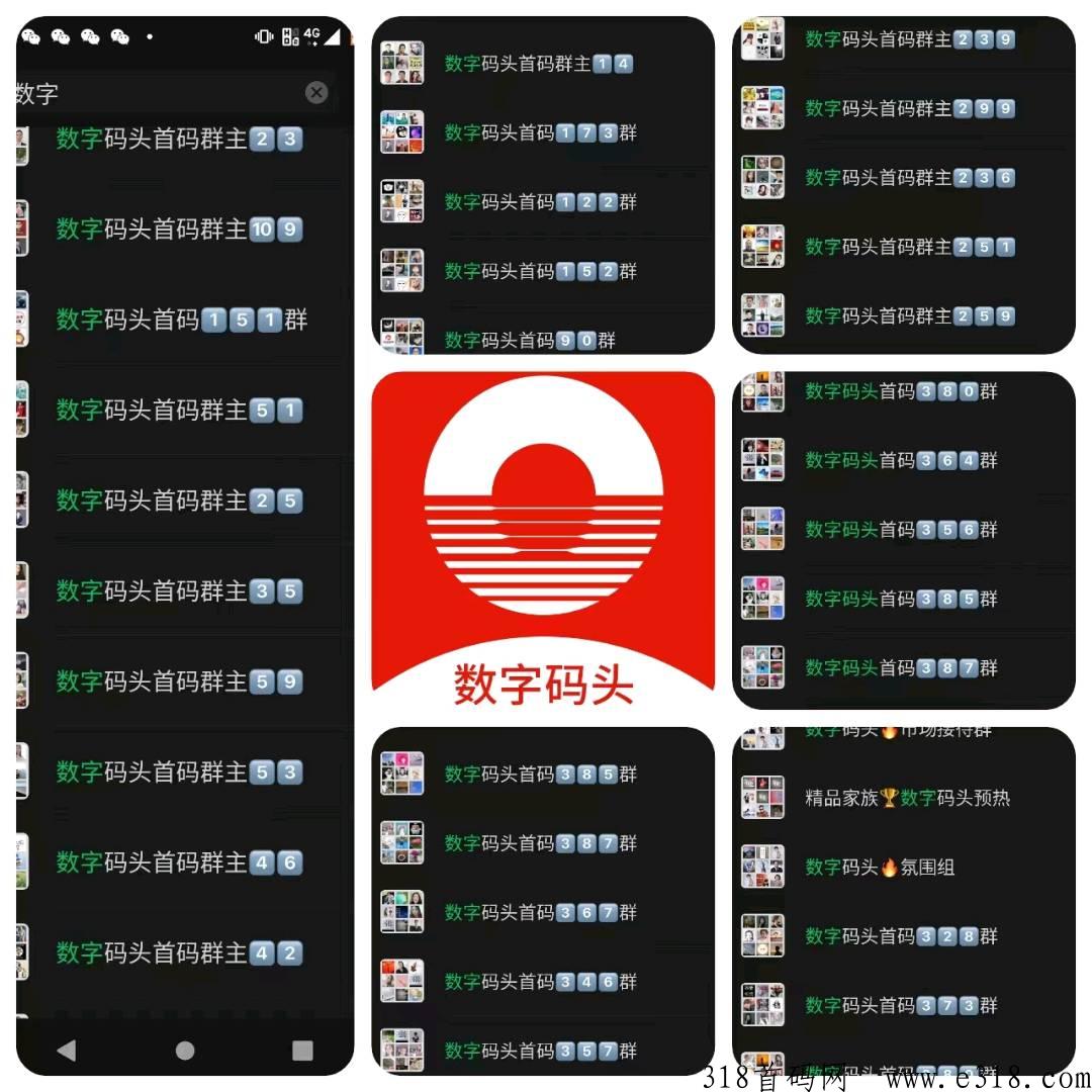 王炸项目，【数字码头】，嗖嗖项目方联合多方打造，起步运营三年
