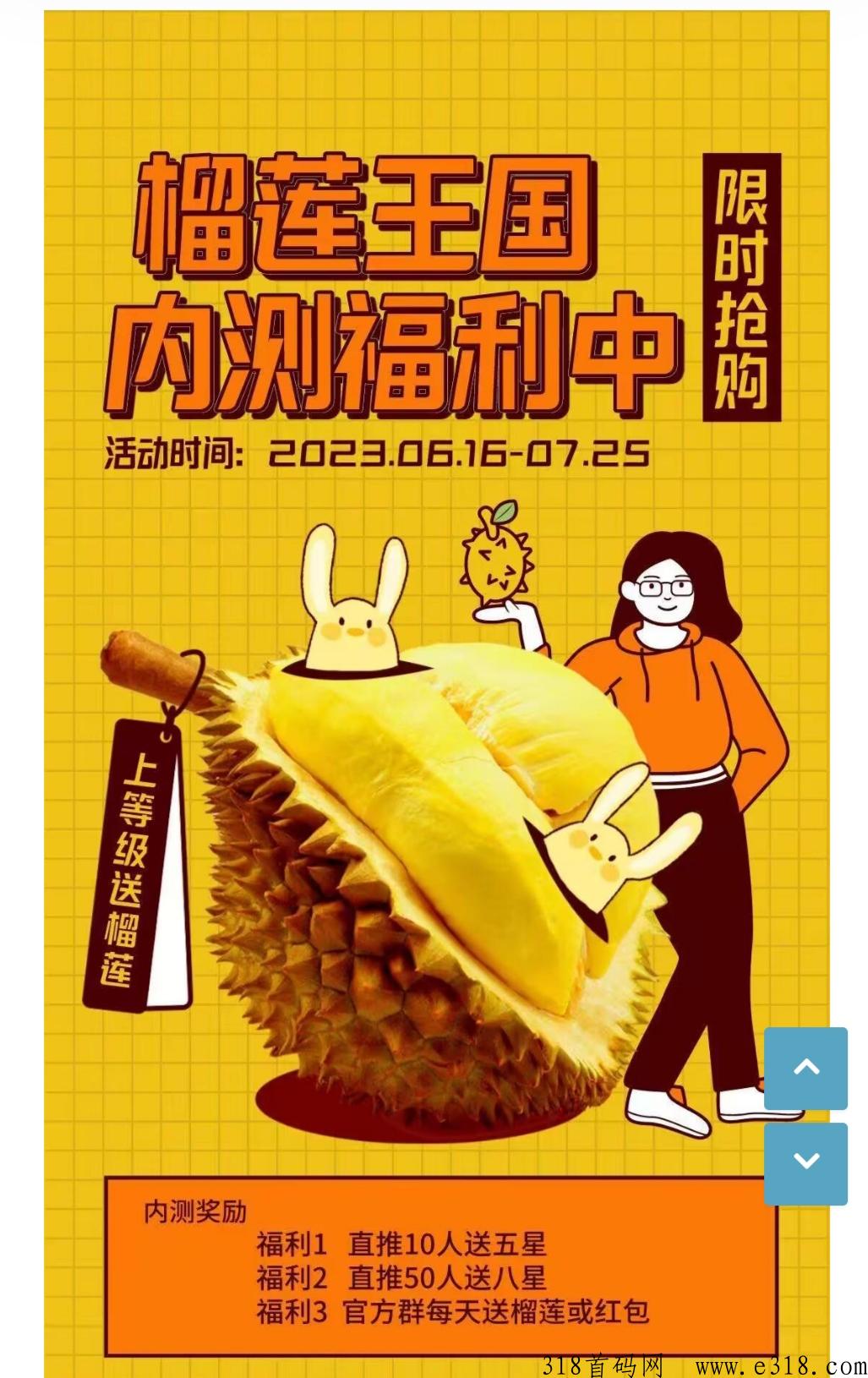 榴莲王国，创新模式，值得一试，占位滑落万r团队