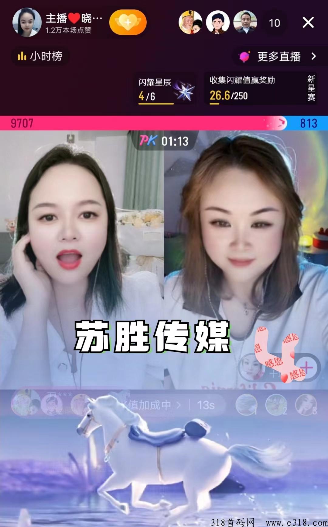 苏胜传媒：网络职业新兴趋势分析与解读