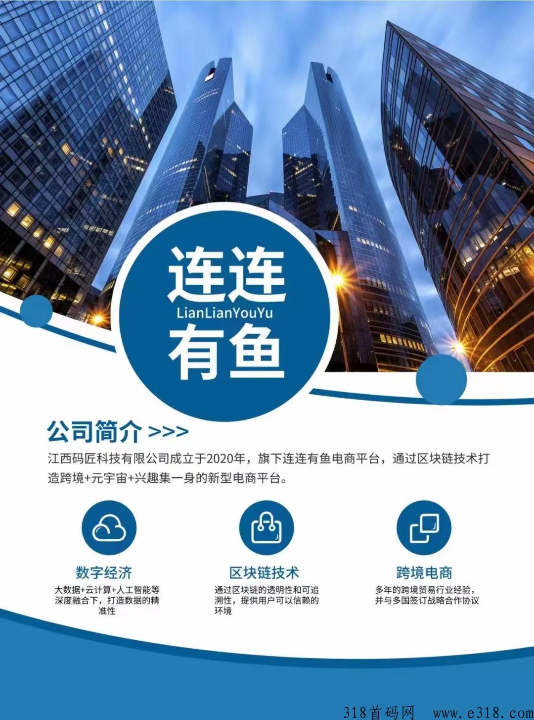 连连有鱼，实体创新电商平台