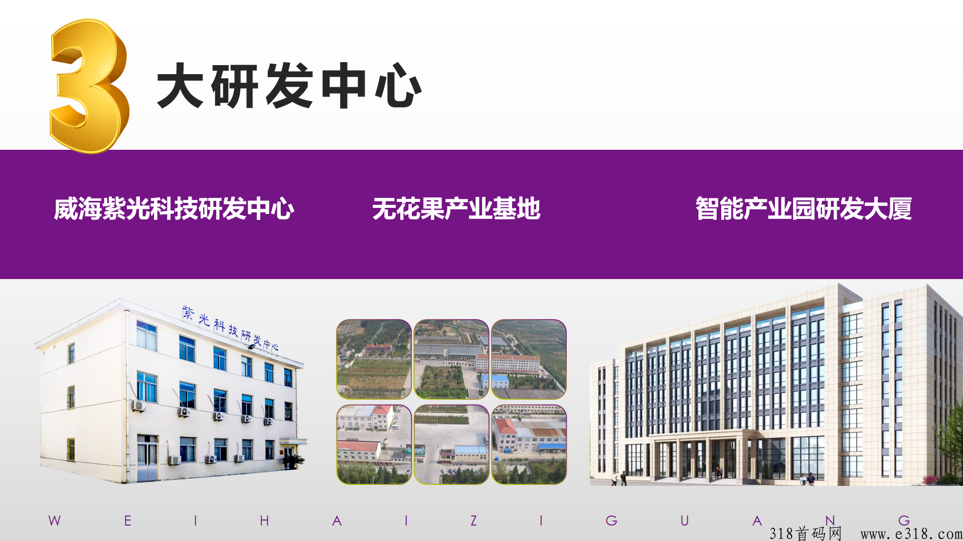 为什么说紫光新零售是好项目