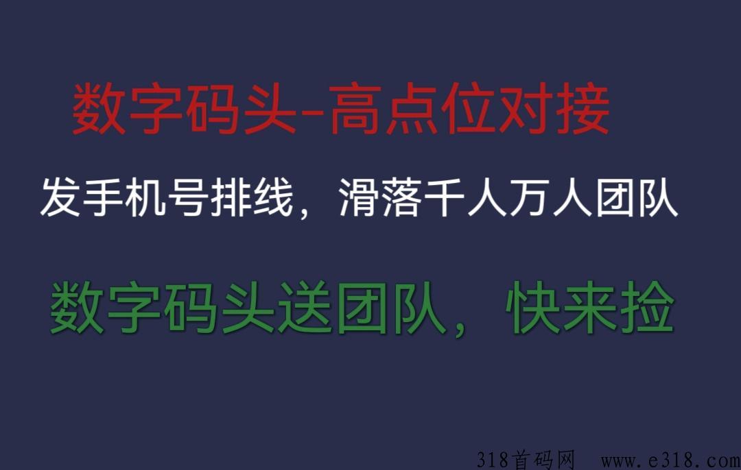 数字码头，高点位对接送团队