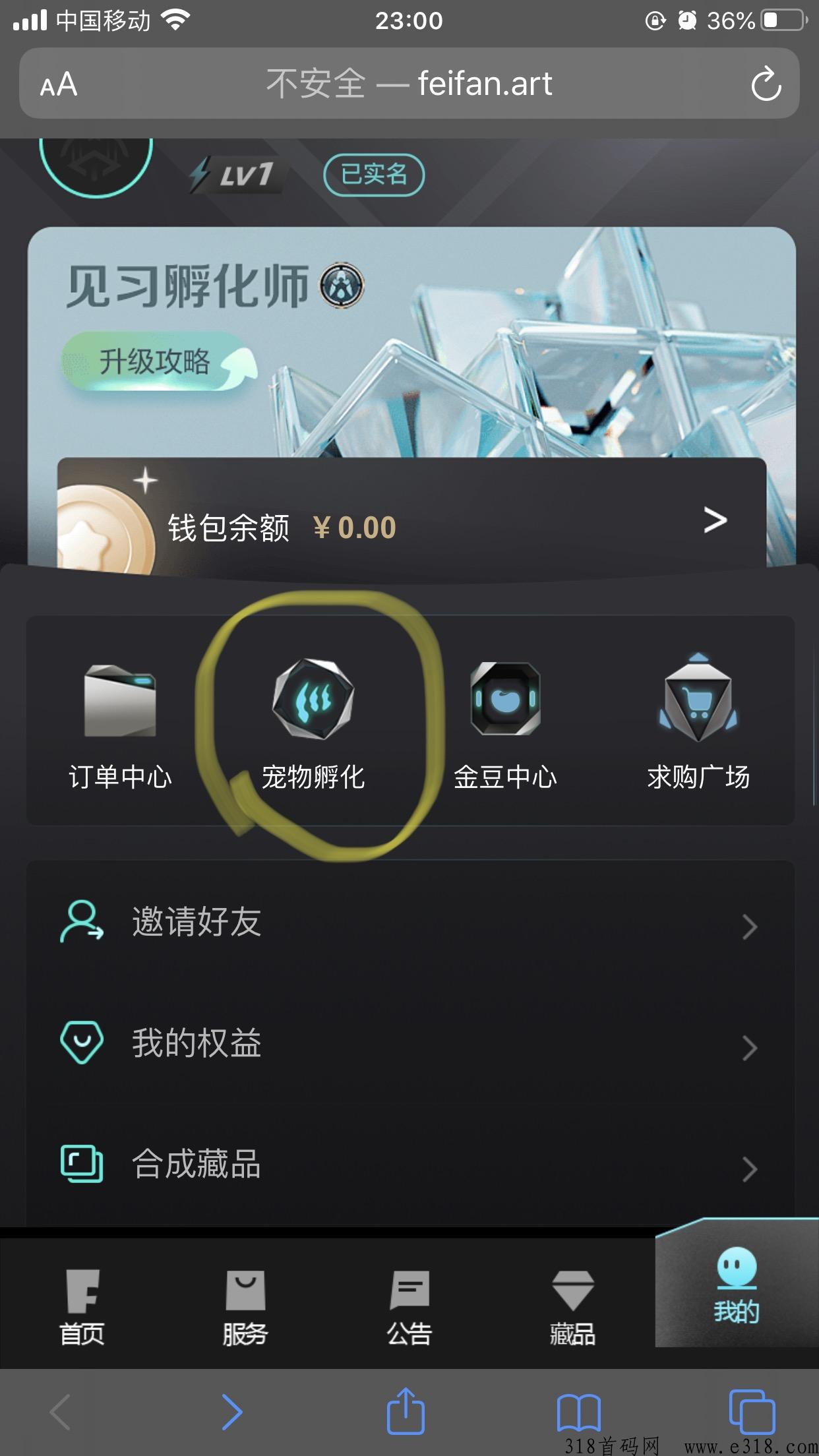 非凡艺术，合宠物赚米，可在右下角市场交易宠物