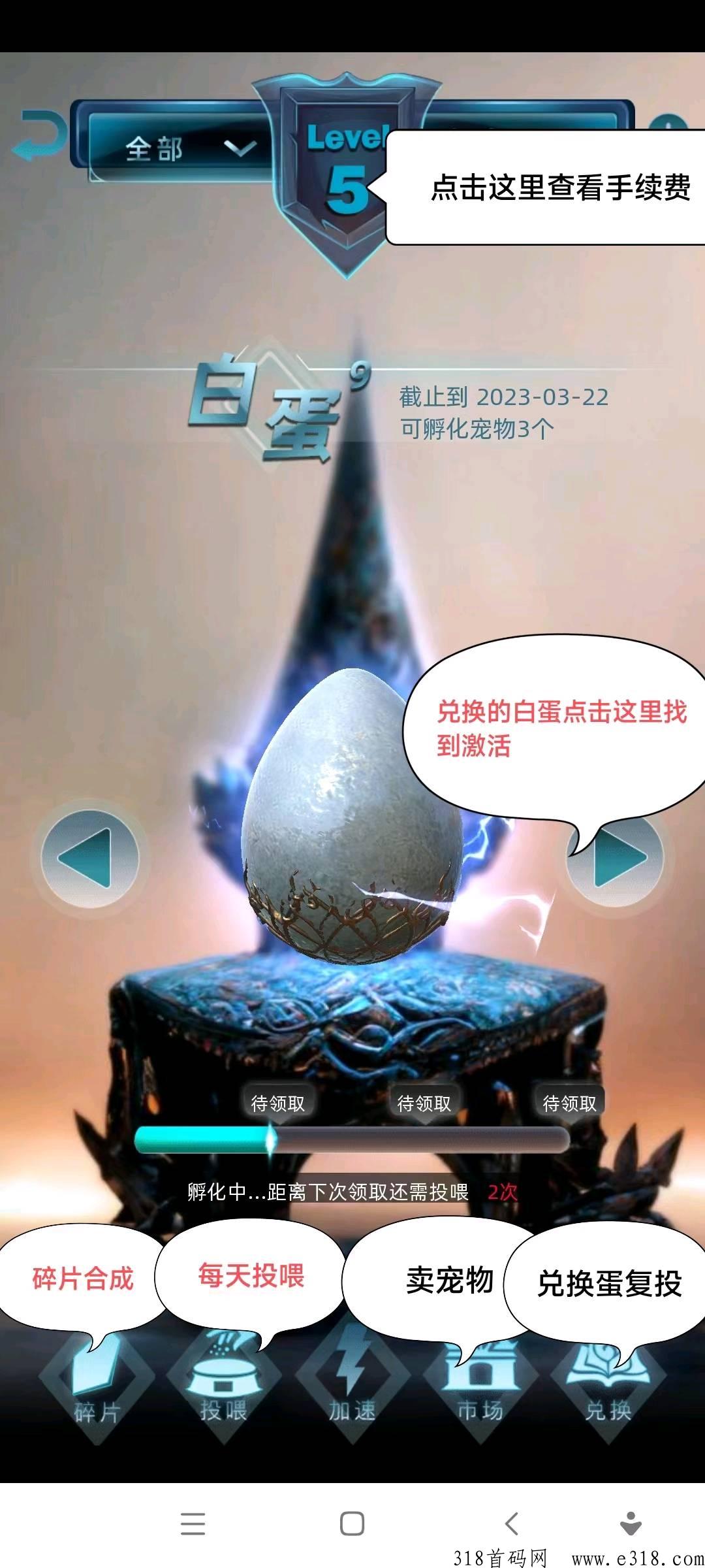 非梵艺术，一只宠物秒卖，快上车