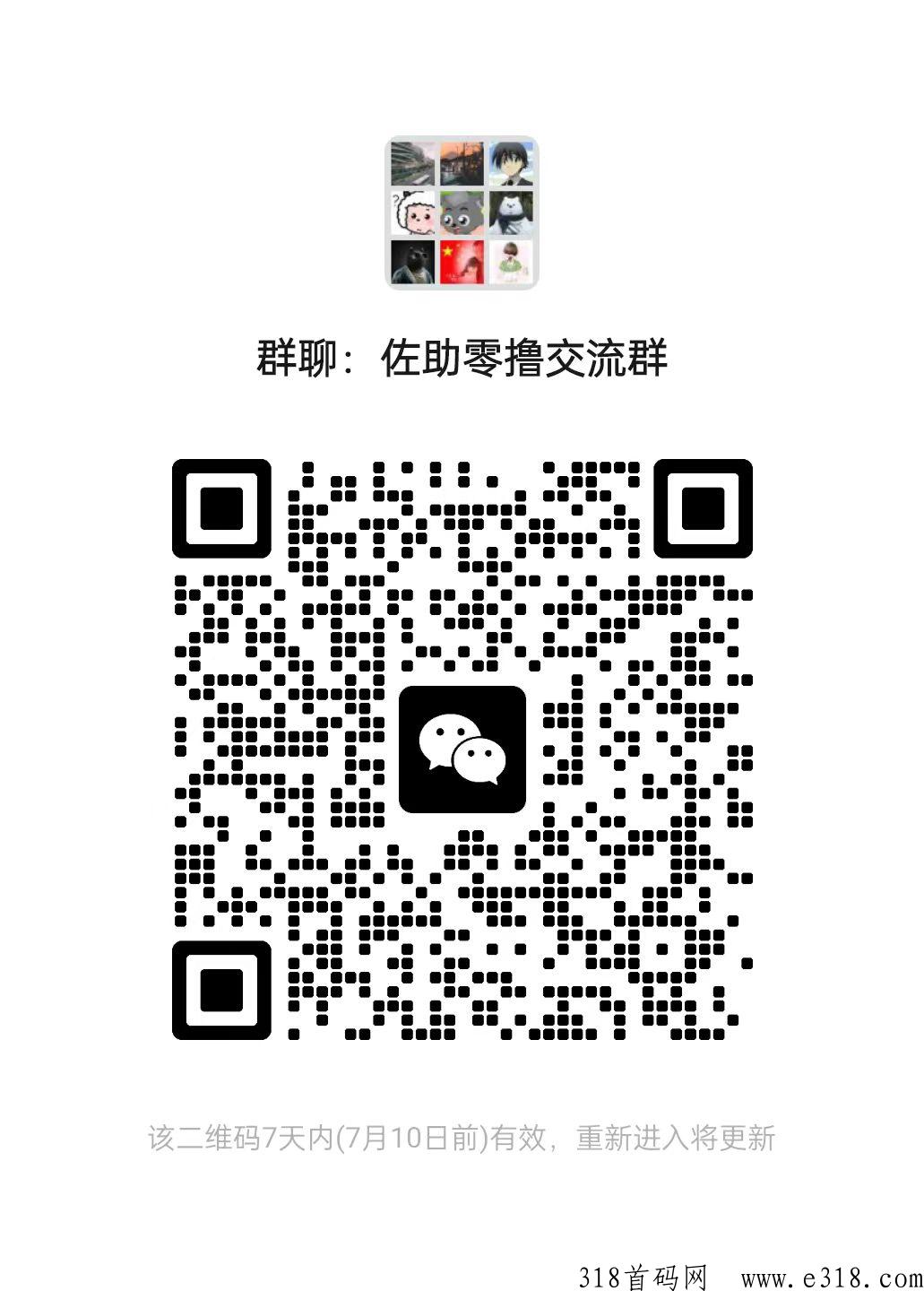 黑马项目天天来收租！进群吃肉