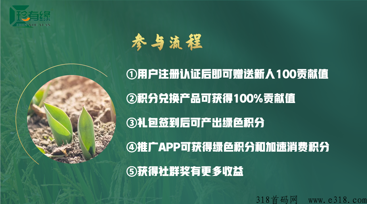 珍有缘八月神盘即将上线 珍有缘八月神盘即将上线