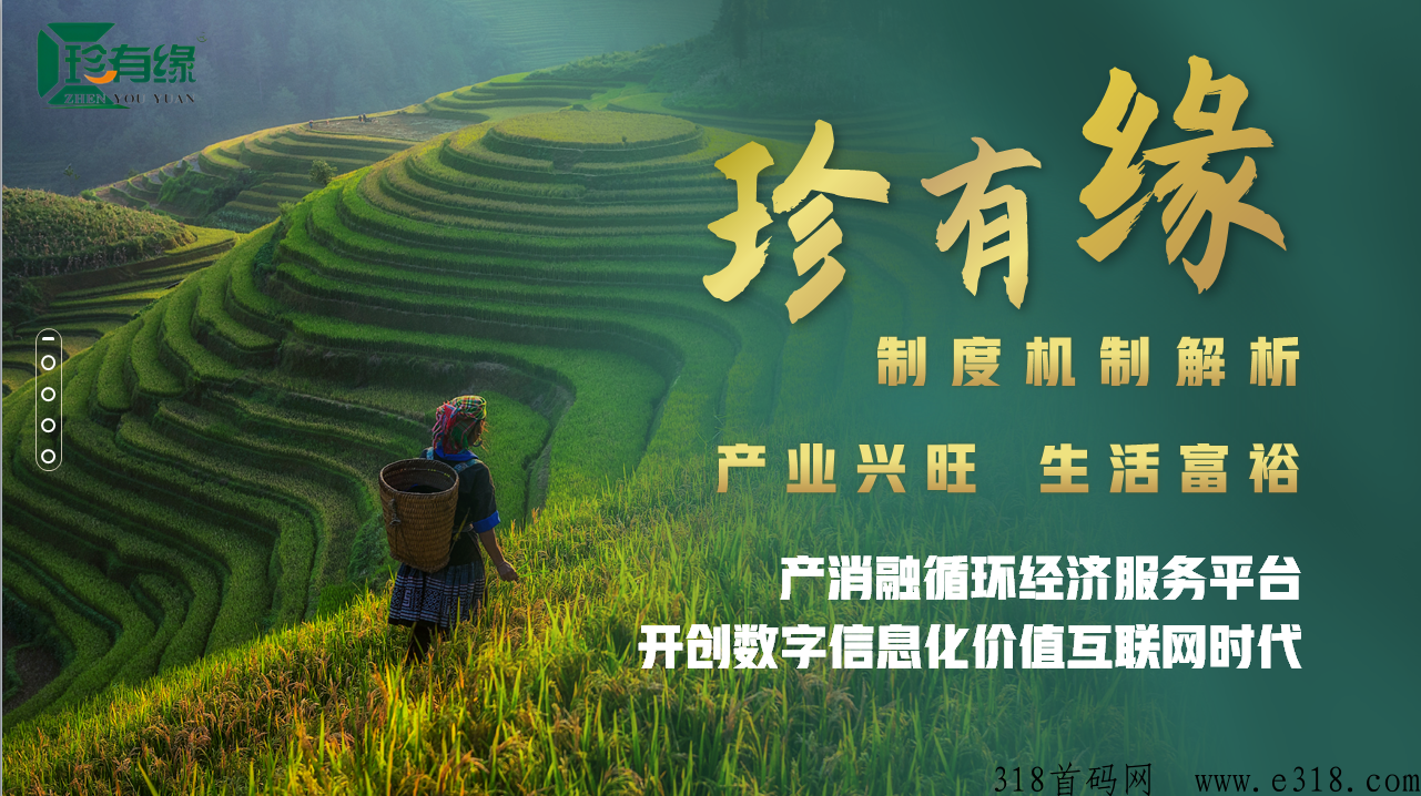 珍有缘八月神盘即将上线