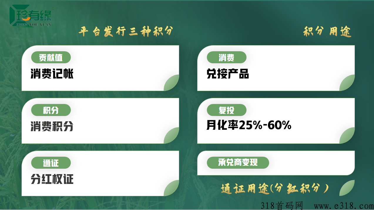 珍有缘八月神盘即将上线 珍有缘八月神盘即将上线