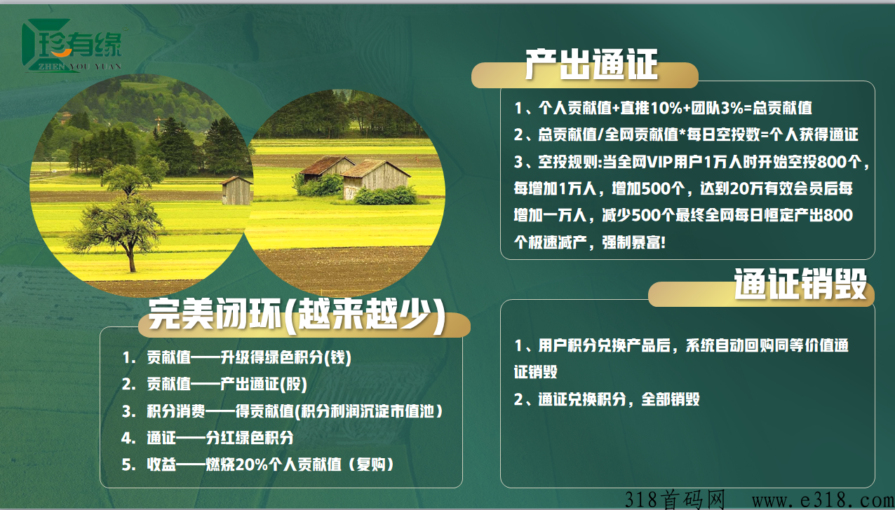 珍有缘八月神盘即将上线 珍有缘八月神盘即将上线