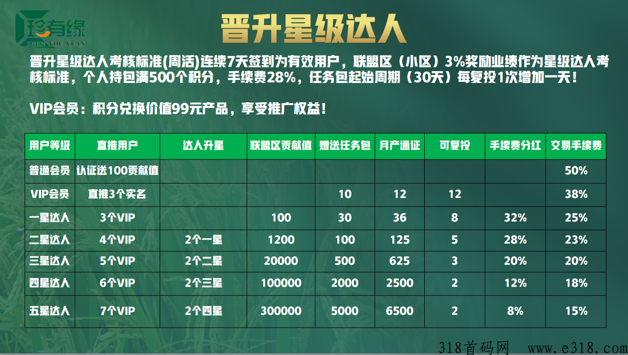 珍有缘八月神盘即将上线 珍有缘八月神盘即将上线