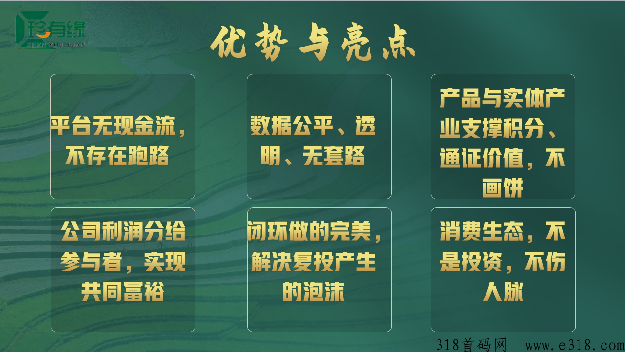 珍有缘八月神盘即将上线 珍有缘八月神盘即将上线